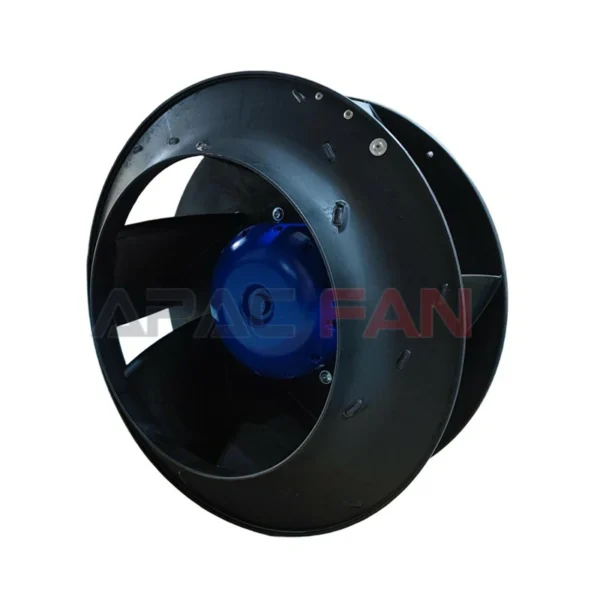RH50V-ZIK.GG.1R 116757