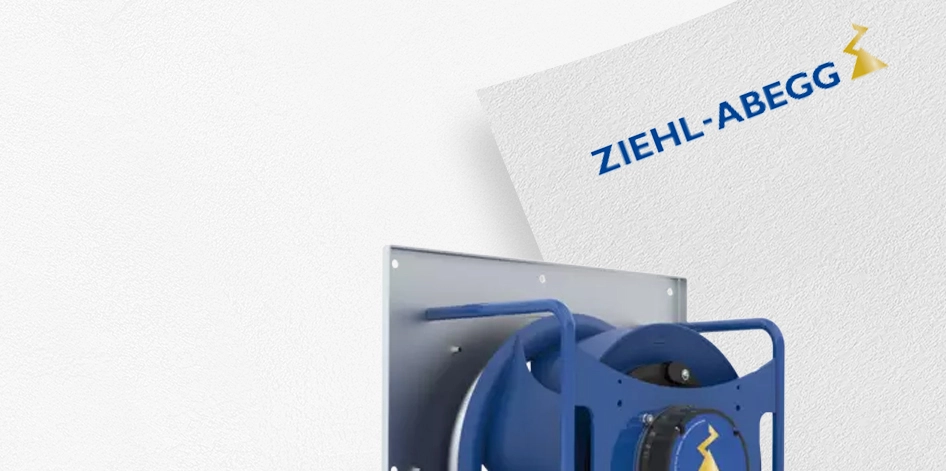 zielo